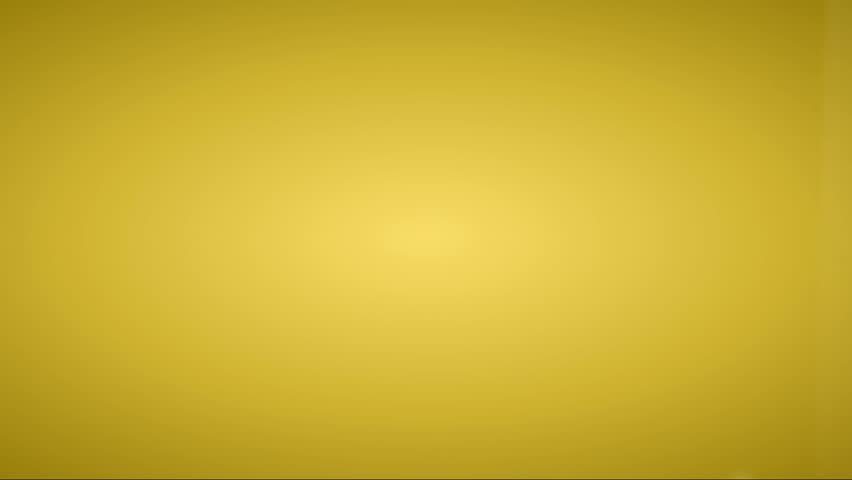 Shutterstock Video