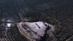 Aerial video of Middle Eastern palm groves - Powered by Shutterstock - Get 15% off with code: PIKWIZARD15