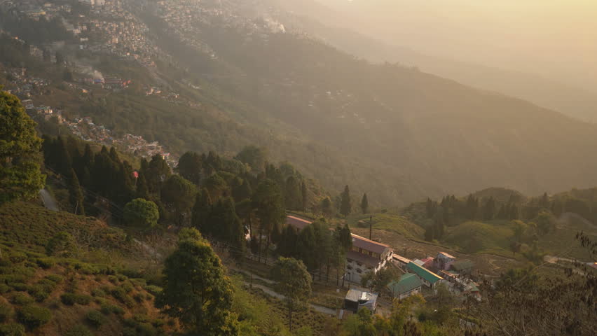 Tea plantation in the Darjeeling, India, Asia