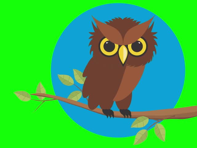 Animated cartoon owl sitting on a branch with blue background. Looping green screen video for kids, nature, or Halloween content.