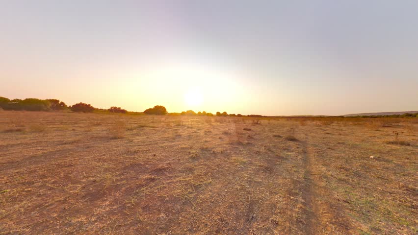 3D rendering of the wilderness 360 degrees