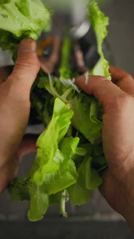 A young housewife carefully rinses a fresh salad under running water in the kitchen. The activity underlines her commitment to healthy eating, highlighting her meal preparation at lunchtime