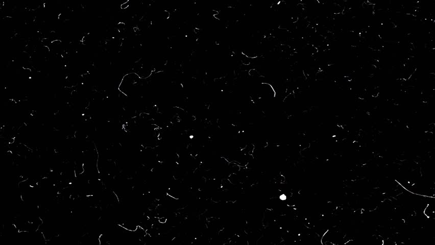 Vintage film scratches and grain texture overlay with dust particles, linear scratches, noise effects, and cluttered imperfections, creating retro cinematic style video