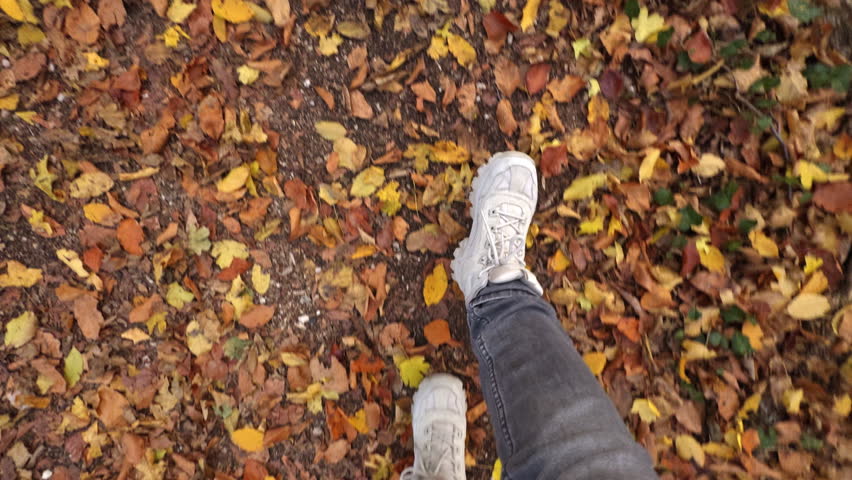 POV Feet of young woman walking on dry fallen autumn leaves of bright colors in a city park on a weekend. Lifestyle