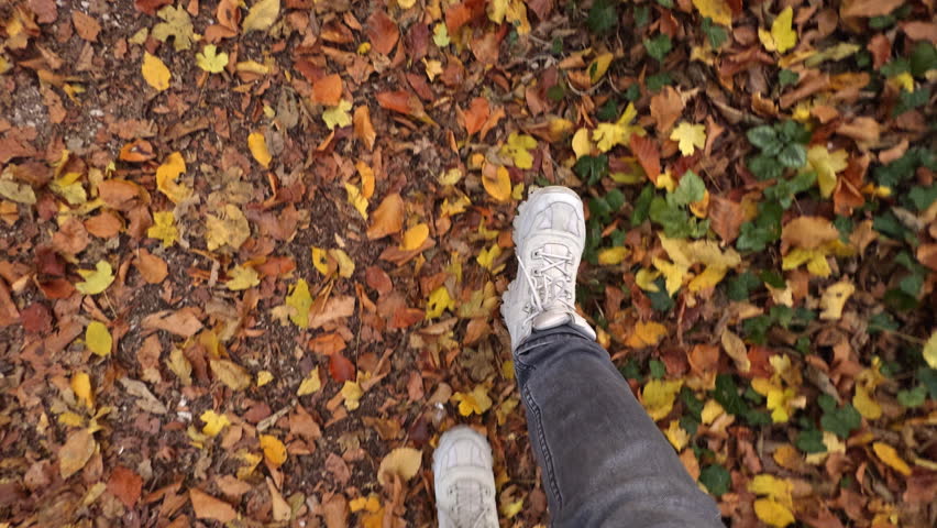 POV Feet of young woman walking on dry fallen autumn leaves of bright colors in a city park on a weekend. Lifestyle