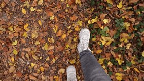POV Feet of young woman walking on dry fallen autumn leaves of bright colors in a city park on a weekend. Lifestyle - Powered by Shutterstock - Get 15% off with code: PIKWIZARD15