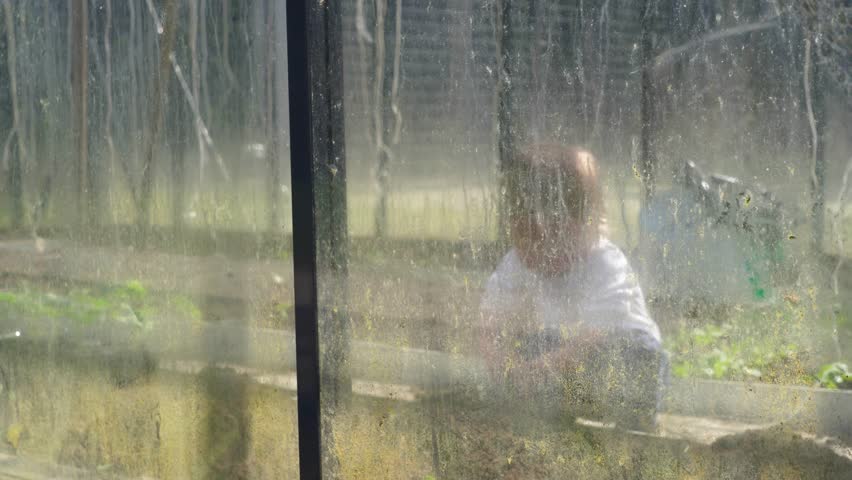 Child explores a weathered greenhouse, observed through grime and haze, capturing a moment of innocence and discovery