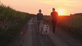 Farming couple walking their golden retriever on a dirt path beside a cornfield at golden hour, symbolizing rural agricultural life. High quality 4k footage - Powered by Shutterstock - Get 15% off with code: PIKWIZARD15