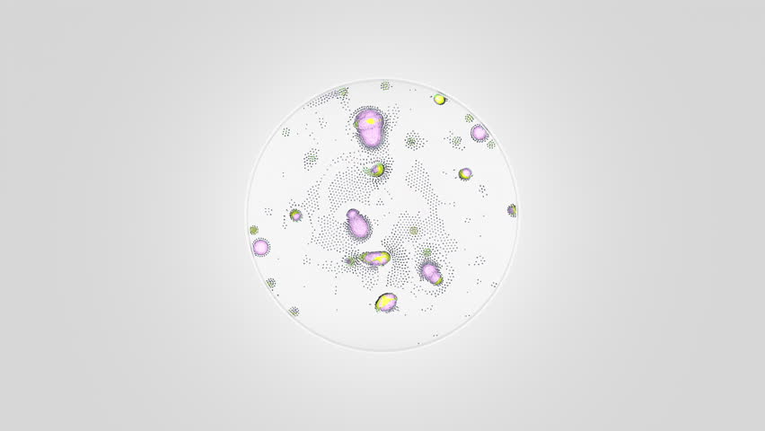 Pastel yellow-violet bacterial colonies spread across a sterile petri dish, illustrating microbial growth and cellular division for modern microbiology research.
