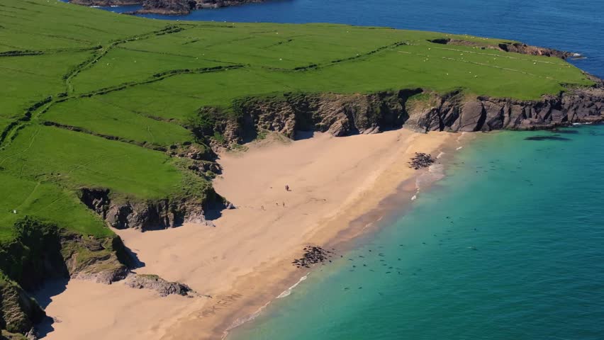 Seals chilling out in Blasket Islands 4K Cinematic Drone Footage - Dingle Co.Kerry - Ireland 05.07