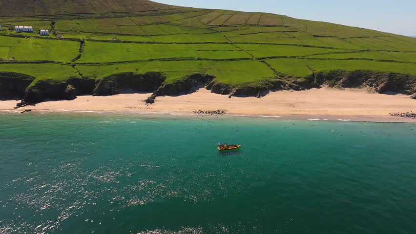 Seals chilling out in Blasket Islands 4K Cinematic Drone Footage - Dingle Co.Kerry - Ireland 05.16