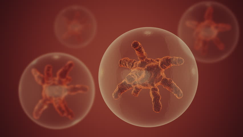 Organized Cell Components in Living Biological Systems
