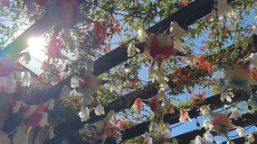 Decorative Pinatas Hanging In A Outdoor Garden On A Sunny Summer Day, Close Up Shot. - Powered by Shutterstock - Get 15% off with code: PIKWIZARD15