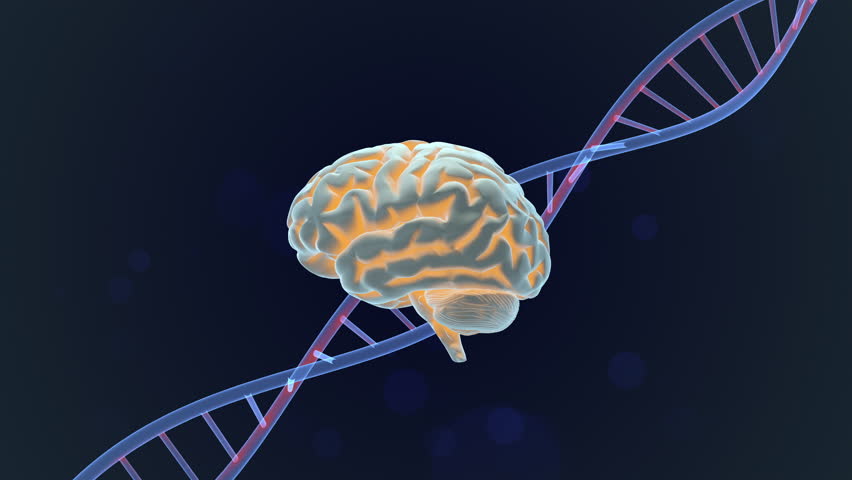 Brain Intelligence Linked with Genetic DNA Structure - Powered by Shutterstock - Get 15% off with code: PIKWIZARD15