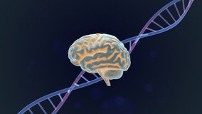 Brain Intelligence Linked with Genetic DNA Structure - Powered by Shutterstock - Get 15% off with code: PIKWIZARD15