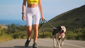 A summer walk along a mountain road with pit bull on a leash is the perfect escape. The dog pants at her side as the young, beautiful woman in a crop top and bike shorts enjoys the fresh air and views - Powered by Shutterstock - Get 15% off with code: PIKWIZARD15