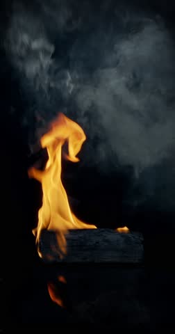 Shutterstock Video