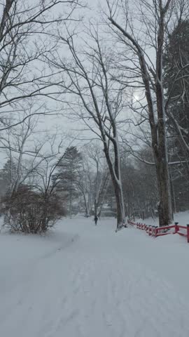 A snowy path lined with trees on the way to Kegon Falls.