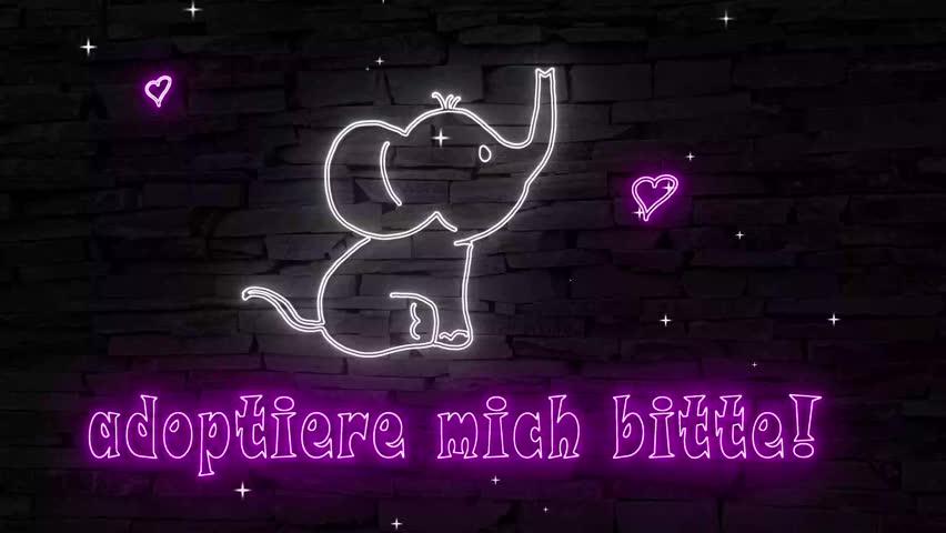 Adoptiere mich bitte (German please adopt me) pink text silhouette of sweet baby elephant illuminated 3d illustration retro neon sign eye catching 10s4k video art, digital postcard for elephant rescue