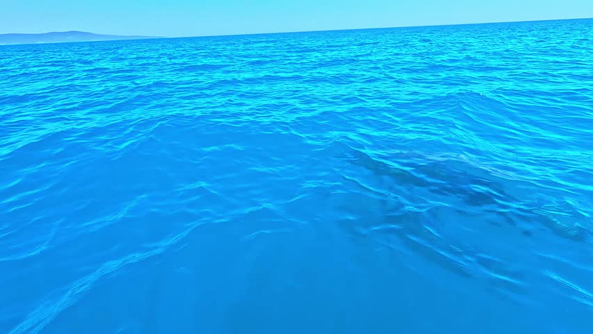 Incredible 4K cinematic footage captured just centimeters above the water surface, featuring a group of wild dolphins swimming and playfully jumping in the open waters of the Black Sea.