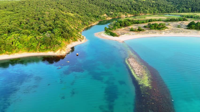 Stunning 4K drone footage showing the estuary of the Ropotamo River where it meets the Black Sea, captured from high above. The video features the river winding through lush marshlands and wetland are