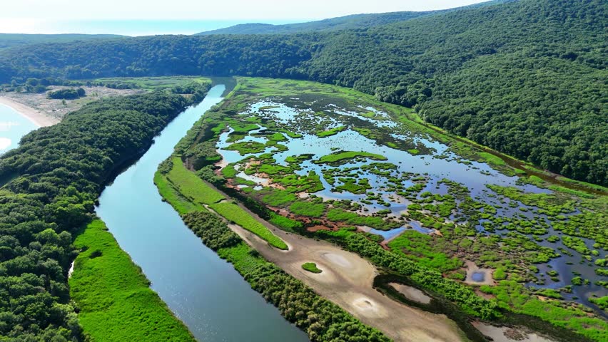Stunning 4K drone footage showing the estuary of the Ropotamo River where it meets the Black Sea, captured from high above. The video features the river winding through lush marshlands and wetland are