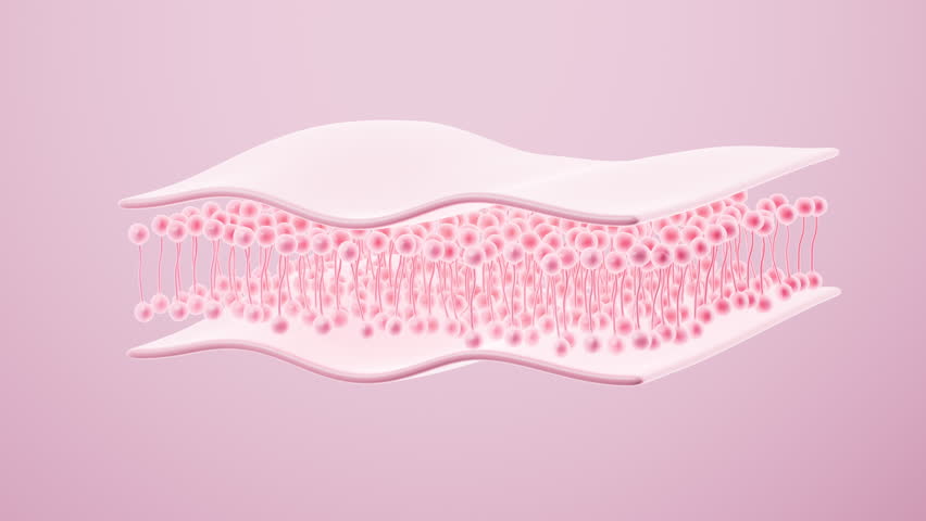 Human skin tissue, skincare, Medical aesthetic restoration, cosmetic advertisement and so on, 3d rendering. Motion Graphic.