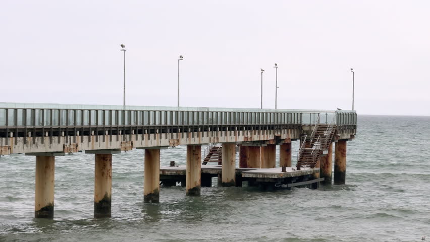 A long metal pier extends into the Baltic Sea, with several seagulls perched along its length. The cloudy sky creates a moody atmosphere, capturing the calm coastal environment on a gray day