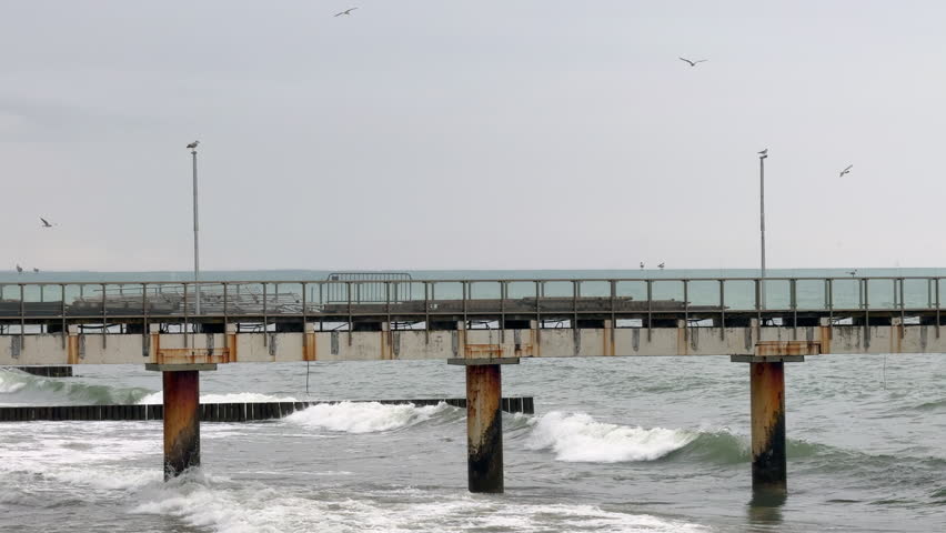 A long metal pier extends into the Baltic Sea, with several seagulls perched along its length. The cloudy sky creates a moody atmosphere, capturing the calm coastal environment on a gray day