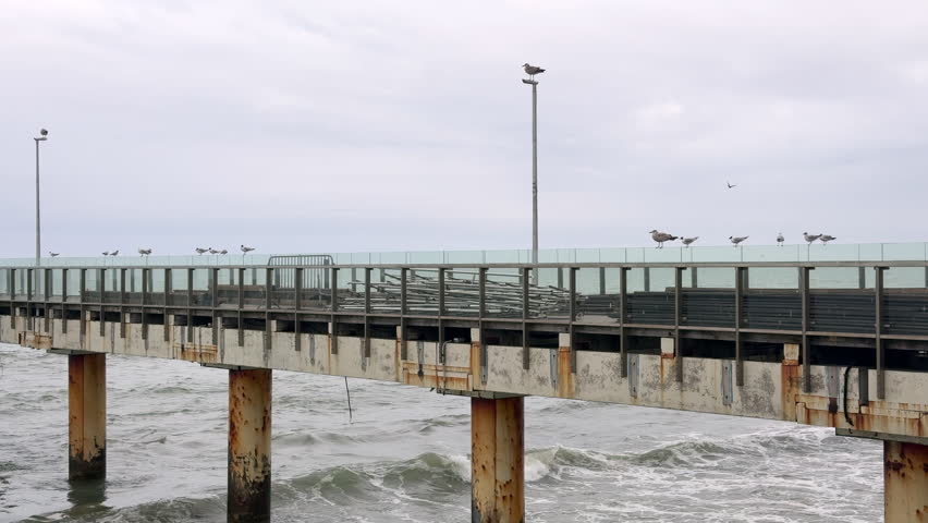 A long metal pier extends into the Baltic Sea, with several seagulls perched along its length. The cloudy sky creates a moody atmosphere, capturing the calm coastal environment on a gray day