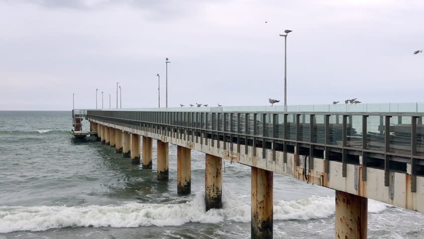 A long metal pier extends into the Baltic Sea, with several seagulls perched along its length. The cloudy sky creates a moody atmosphere, capturing the calm coastal environment on a gray day