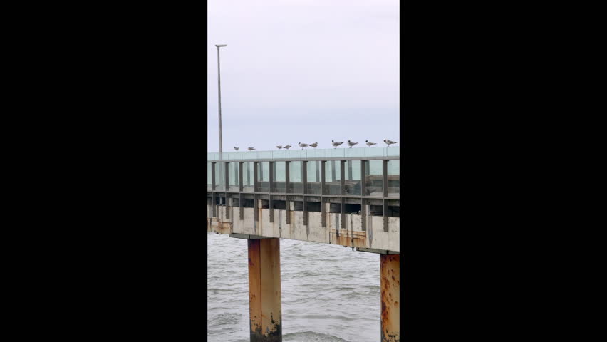 A long metal pier extends into the Baltic Sea, with several seagulls perched along its length. The cloudy sky creates a moody atmosphere, capturing the calm coastal environment on a gray day