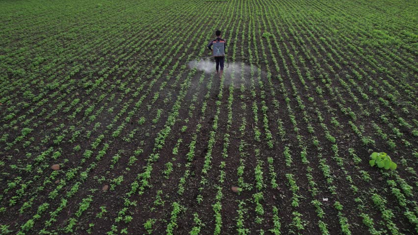 Farmer spraying pesticides on their crop, India.