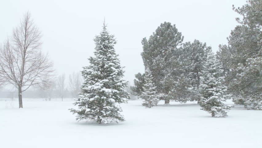 Peaceful Holiday snow scenic. HD 1080p.