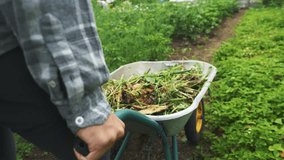 Garden wheelbarrow filled with organic compost for sustainable farming. Eco-friendly soil enrichment methods driving modern agricultural trends. - Powered by Shutterstock - Get 15% off with code: PIKWIZARD15