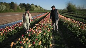 An elderly couple walks through neat rows of flowers field - Powered by Shutterstock - Get 15% off with code: PIKWIZARD15