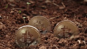 Gold bitcoin on the earth in nature background. Bitcoin Coins Partially Buried in Soil Representing Digital Mining and Investment - Powered by Shutterstock - Get 15% off with code: PIKWIZARD15