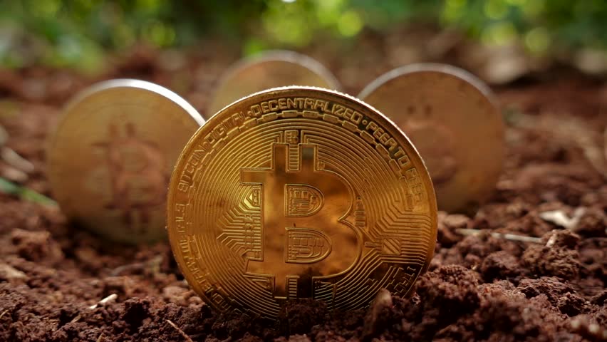 Three Bitcoin appear partially buried in soil, symbolizing cryptocurrency mining and modern investment practices. A visual metaphor for innovation, digital currency, and market dynamics.