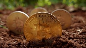 Three Bitcoin appear partially buried in soil, symbolizing cryptocurrency mining and modern investment practices. A visual metaphor for innovation, digital currency, and market dynamics. - Powered by Shutterstock - Get 15% off with code: PIKWIZARD15