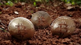 Three bitcoins planted in the ground. Bitcoin partially buried in soil representing digital mining and investment - Powered by Shutterstock - Get 15% off with code: PIKWIZARD15