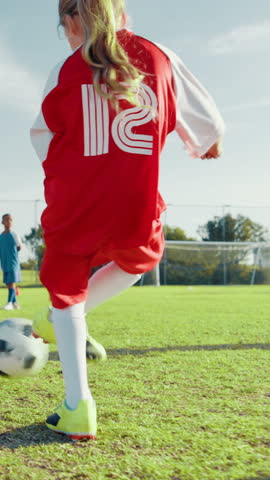 Shutterstock Video