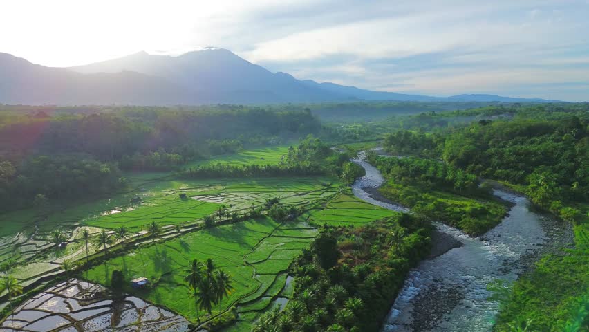 Beautiful morning view indonesia panorama landscape paddy fields with beauty color and sky natural light