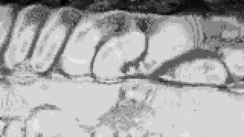 Aggressive glitch with RGB splits and screen shakes. Digital distortion and visual crackle. glitch pulse, RGB flicker, screen error, distortion crack, digital noise