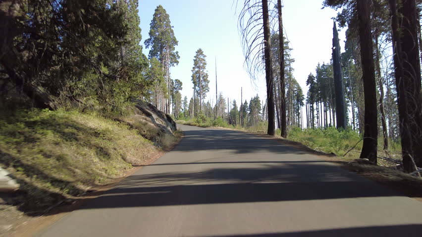 Sequoia National Park Crescent Meadow Road 18 MultiCam Rear View Driving Plate Sierra Nevada Mts California USA