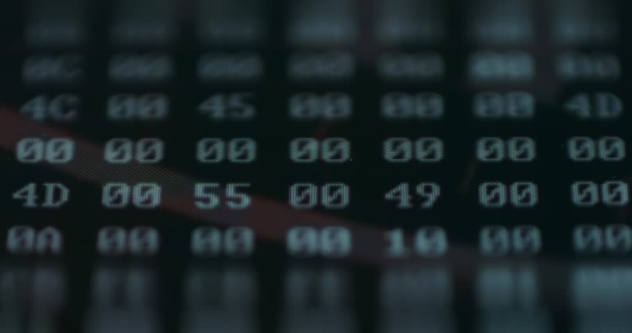 Shutterstock Video
