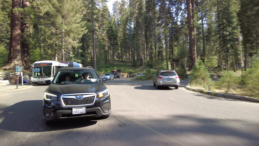 Sequoia National Park Crescent Meadow Road 20 MultiCam Rear View Giant Forest Driving Plate Sierra Nevada Mts California USA