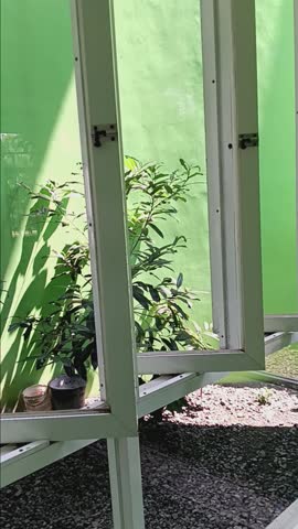 A fresh green terrace with wide glass windows, allowing natural light to brighten the space and create a cool, airy atmosphere.
