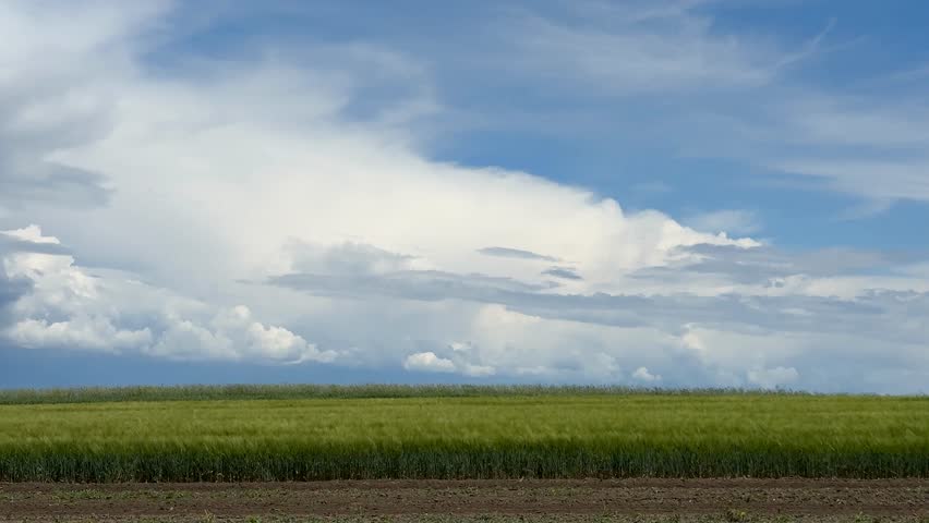 A vast, serene landscape with lush green fields under a bright blue sky, perfect for Earth Day and sustainable farming themes