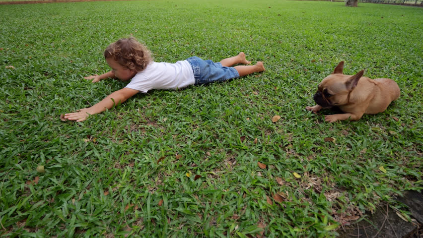 Funny duo, young boy and his cute French Bulldog, lie on their stomachs in grass, stretching out hands and paws in sync. During this playful yoga-style moment, they joyfully mimic each other