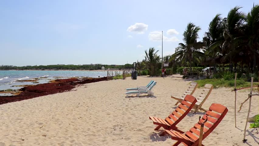 Playa del Carmen Quintana Roo Mexico 2021 Palms parasols sun loungers beach resort Playa del Carmen Mexico video